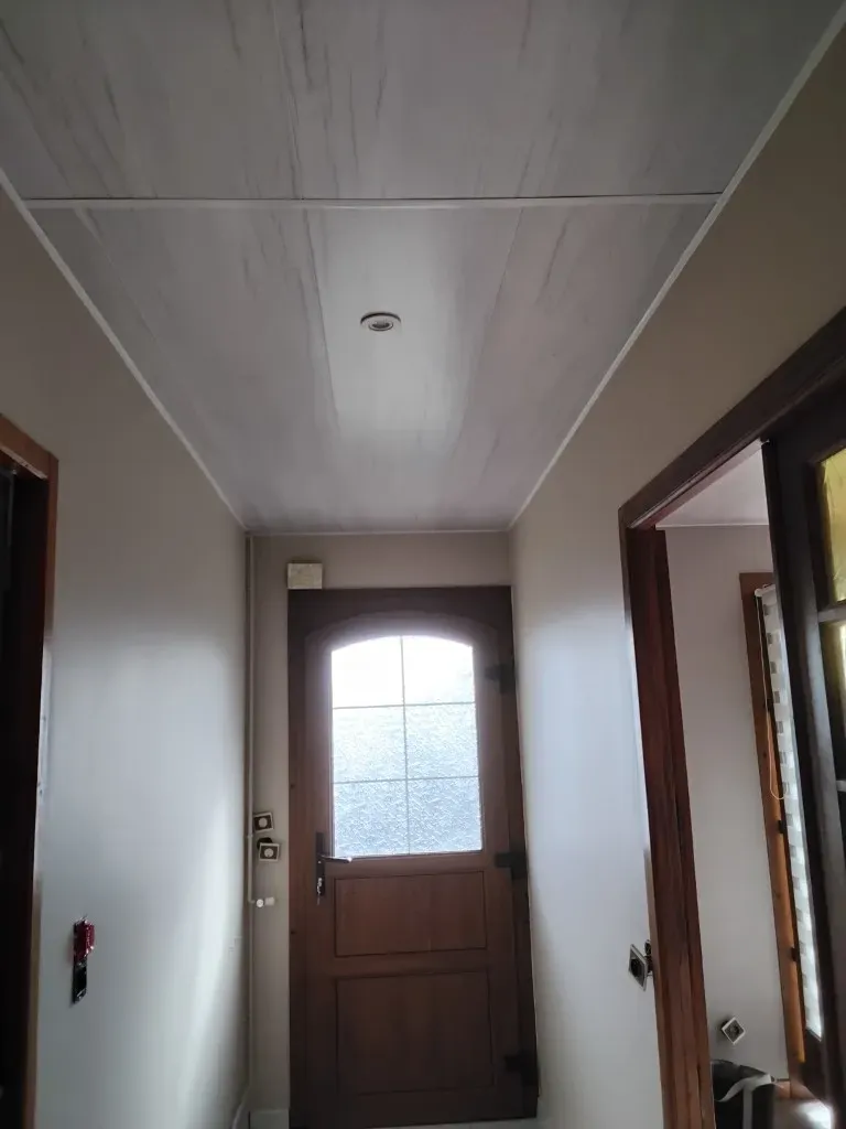 changement pvc plafond (6)