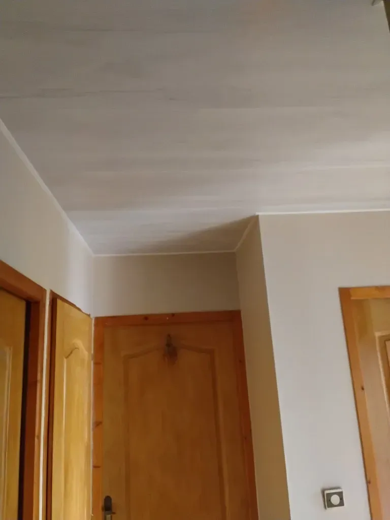 changement pvc plafond (8)