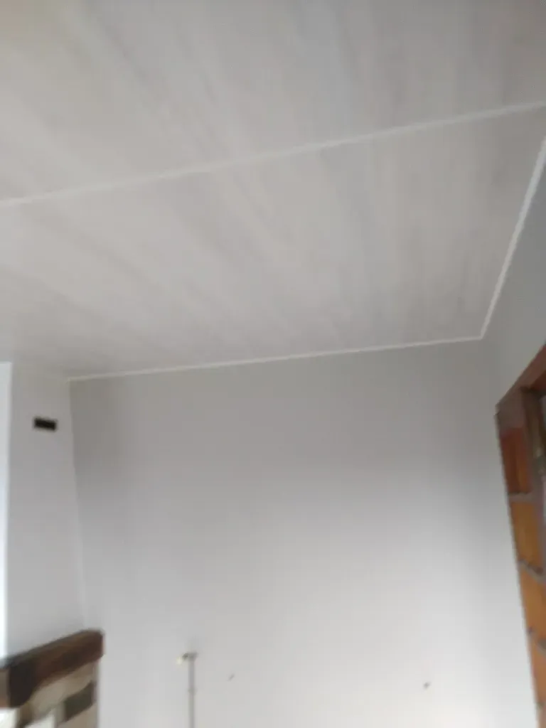 changement pvc plafond (12)