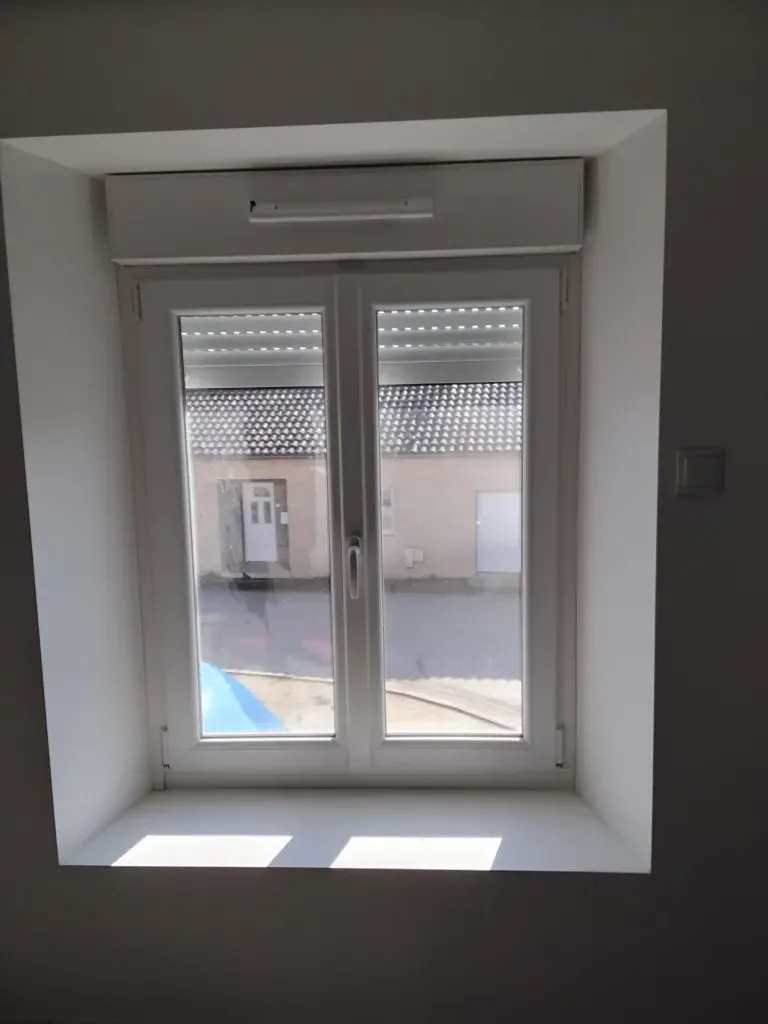 Fenêtres et portes de garage (2)