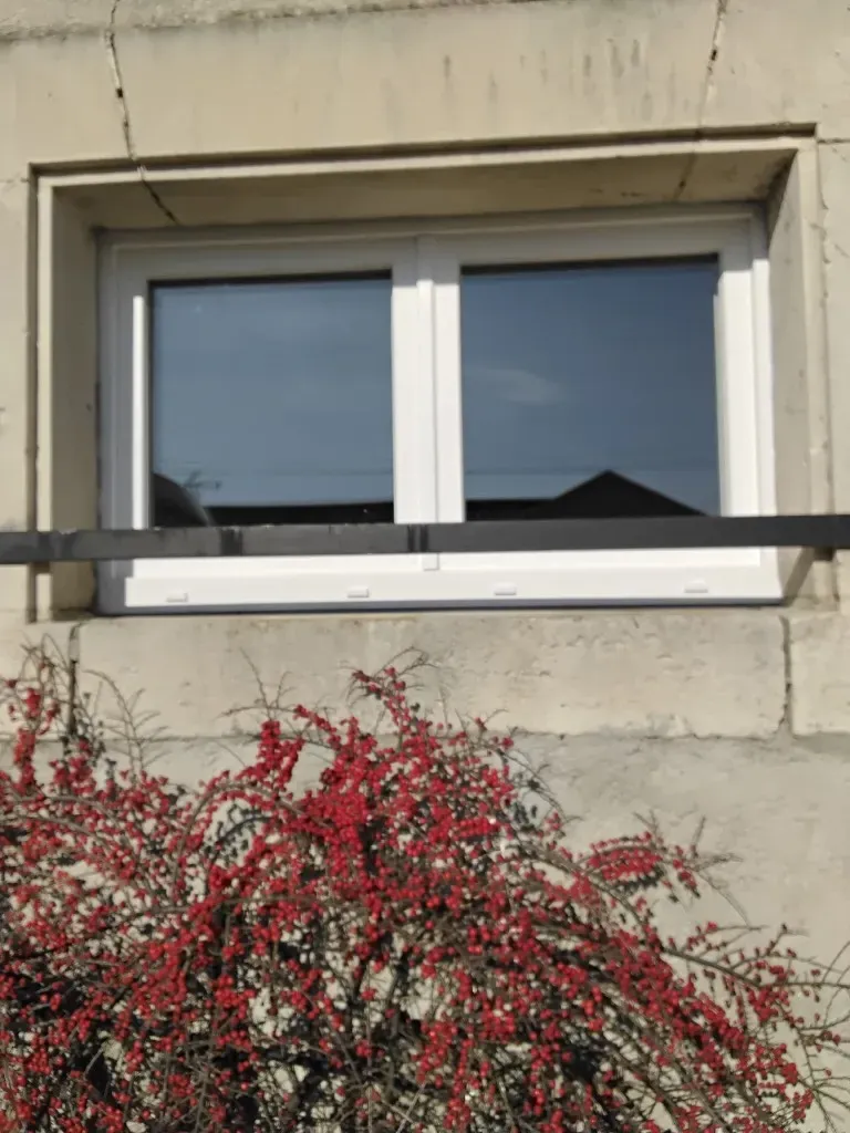 Fenêtres et portes de garage (6)