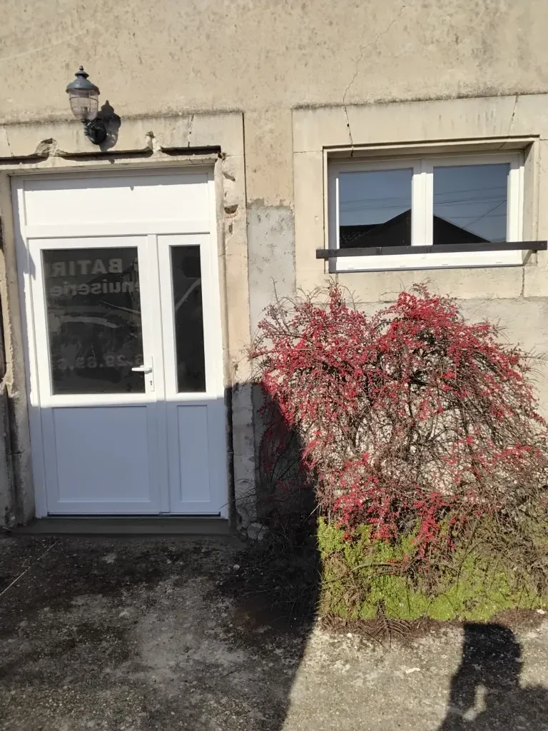 Fenêtres et portes de garage (8)